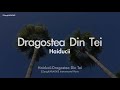 Haiducii-Dragostea Din Tei (MR/Instrumental/Lyrics Ver.) [ZZang KARAOKE]