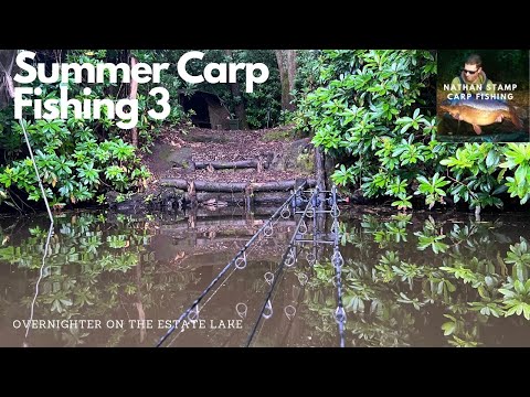 **SUMMER CARP FISHING** Overnighter of the old estate lake