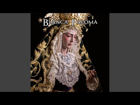 Blanca Paloma (Directo)