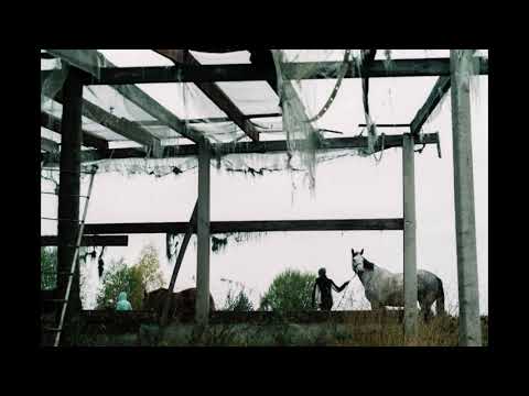 Godo Yorke - Mano širdis skylėta (Live from Goda Pinus Lodge)