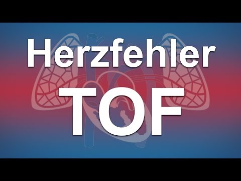 Herzfehler einfach erklärt: Fallot'sche Tetralogie (TOF)