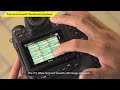Nikon Z9 Fast And Smooth Playback