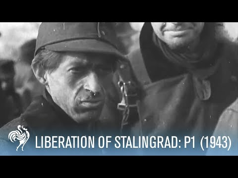Liberation of Stalingrad - Germans Surrender: Pt 1 (1943) | War Archives