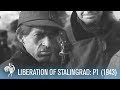 Liberation of Stalingrad - 1943 (PART 1) 