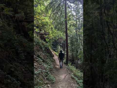 Only A Case (Prod. Buckroll)