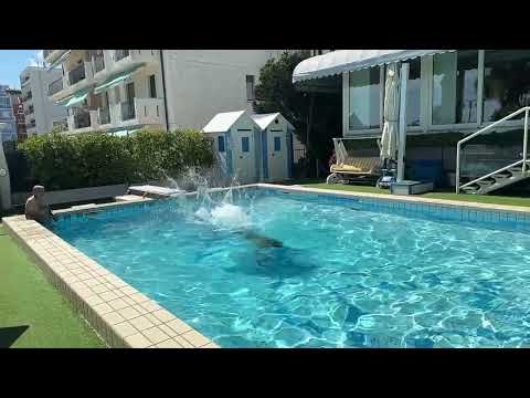 Arshad Diving in Pool 08/06/2023