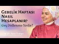 Gebelik Haftası Nasıl Hesaplanır? Geç Döllenme Nedir?