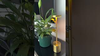 マレーシアでのカルチャーショック５連発