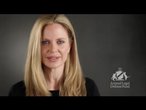 True Blood's Kristin Bauer Speaks Out for Tony the Tiger