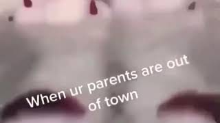 Trevor blows up a stupid furry’s house