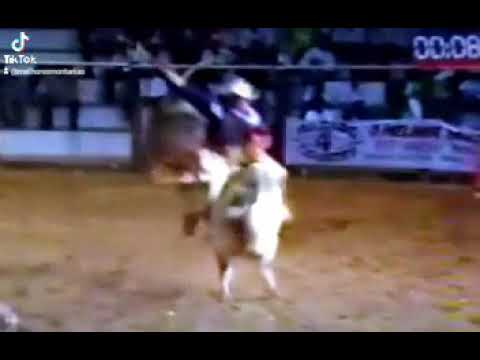 SIDNEY VAROTO X ESCONDE O BICHO - RODEIO DE PARANACITY 1997