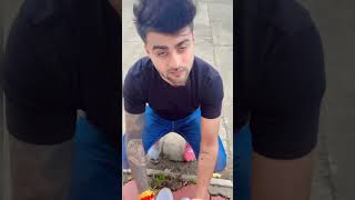Thumbnail
