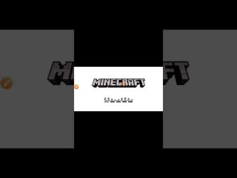 Minecraft piccolo video *buggato*