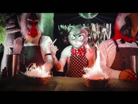 Schweppes Makers of Today 2017: Team Backyard Jungle