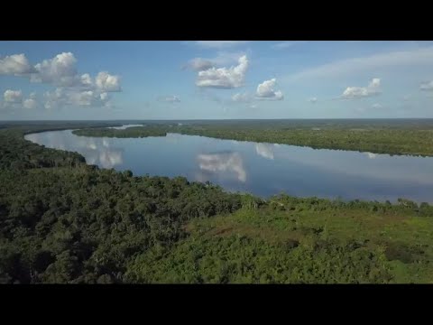 Indigenous chief Raoni in Paris to raise a million euros for the environment