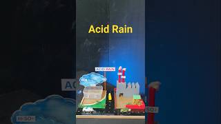 Acid Rain Science Project #scienceproject