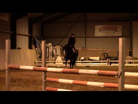 PVA Stolzenberg - Wallach angeritten