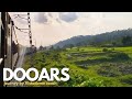 Dooars Train Journey Alipurduar To Siliguri Vistadome Coach