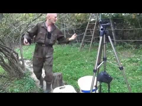 CHIROPRACTIC: Dr.Ante Pavlović, 13./15-25.09.2014.: MILA-VET-GROŽĐE-JUKIĆ