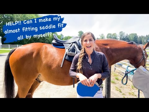 Basic English Saddle Fitting Guide For Any Horse Owner At Any Level