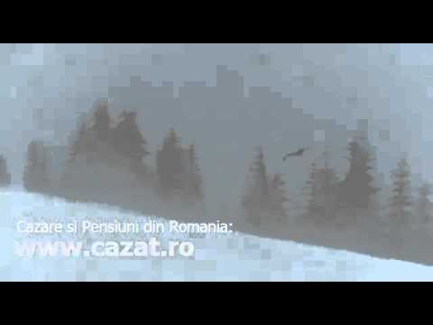 Cazare Piscu Corbului, Galati - Cazat.ro