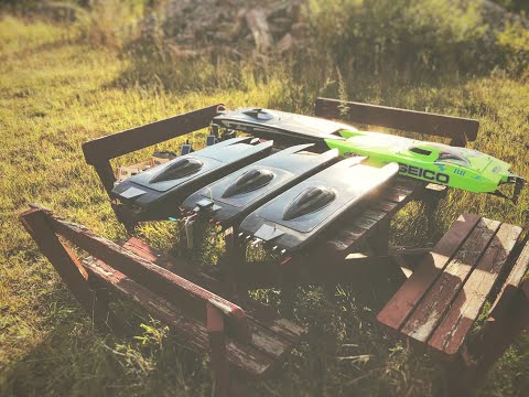 New Zonda | Animal Cat | Zonda | Miss Geico