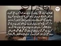 A True Story Of Mother And Son Urdu Hindi Kahanian Kitab Stories