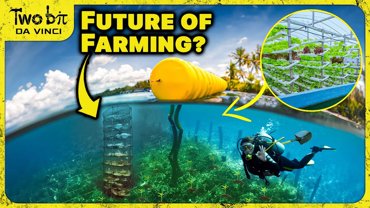 Scientists Want to Start Ocean Farms - This Surprised Me!
