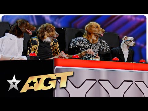 Dog's Got Talent! The Judges Become DOGS on AGT!