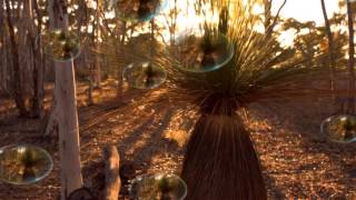 And The Band Played Waltzing Matilda