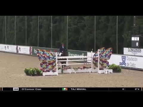 Taj Mahal 💫 - Vejer (Oct 31)