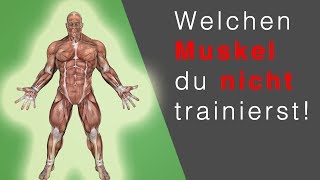 RUDERGERÄT TRAINING: Dieser Muskel wird NICHT trainiert… (OMG)