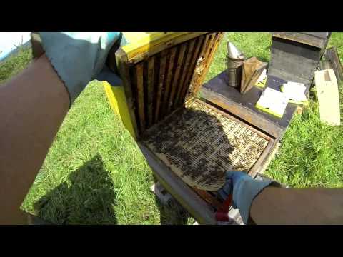 Behandlung mit dem Liebig Dispenser