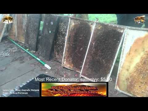 The SketchSquad Gaming Network