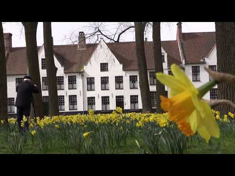 Brugge    Bruges  2014