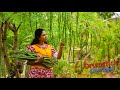 Delicious Drumsticks Moringa Pods Recipes For Tasty Colourful Lunch Table Traditional Me
