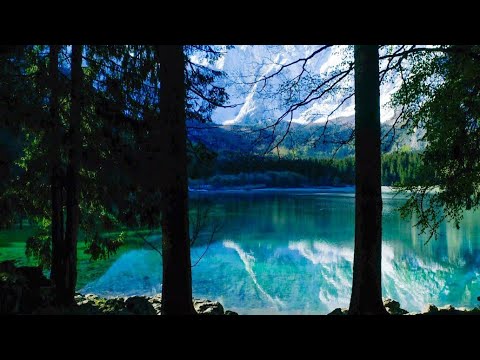 Forests from Above (No Sound) — 10 Hours Screensaver of 4K UHD Drone Aerials