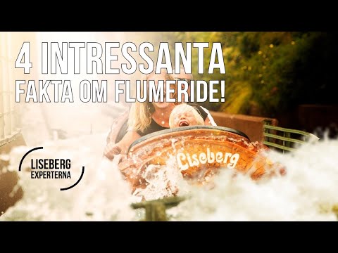 4 Intressanta Fakta Om Flumeride ( På Två Minuter! )