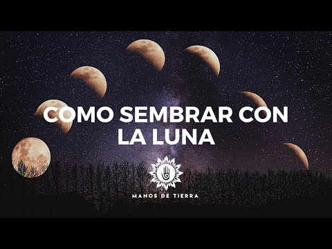 , title : 'Como Sembrar Con LA LUNA 2024/ cultivar con fases lunares/ calendario lunar'