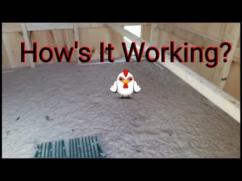 image-What is the best material for a chicken coop or run floor? 