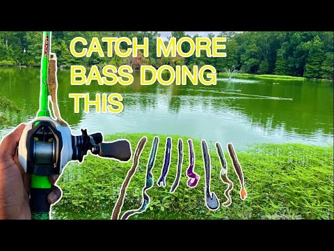 3 Retrieves That’ll Catch You More Fish From The Bank This Summer| Summer Bank Fishing Tips