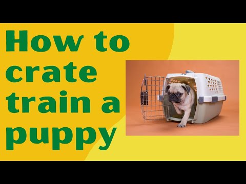 crate train a puppy first night | how long does it take to crate train a puppy / dog
