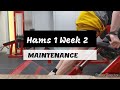 DVTV: Maintain Hams 1 Wk 2