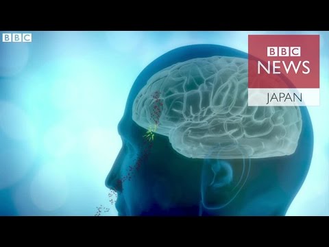 大気中の汚染物質:研究者らは「非常に急速な死亡要因」を特定