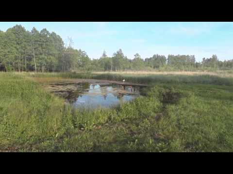 Agroturystyka pod Gruszą Mazury