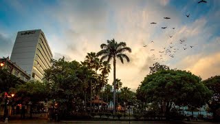 Unipark by Oro Verde Hotels, Guayaquil, Ecuador