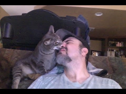 My cat Oscar bites  my nose.