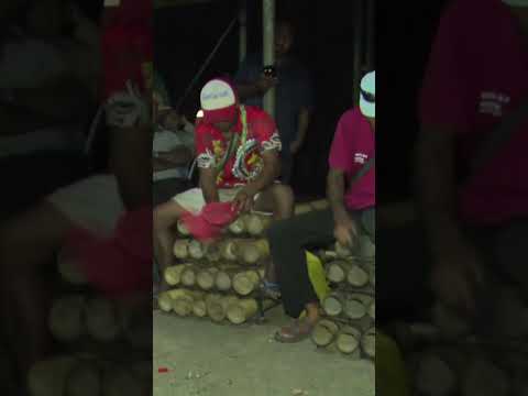 Panu Stringband & Opa Brothers #shorts