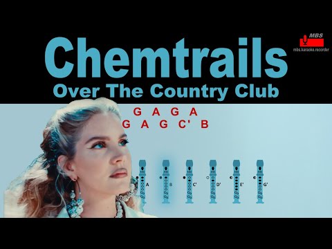 Chemtrails Over The Country Club Lana Del Rey Flute Recorder Tutorial / How To Play