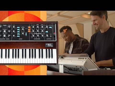 Moog Minimoog Model D MIN-MOOG-D04-01  Analog Synthesizer image 14